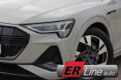 Audi E-Tron 50 313z.s. S-line Plus